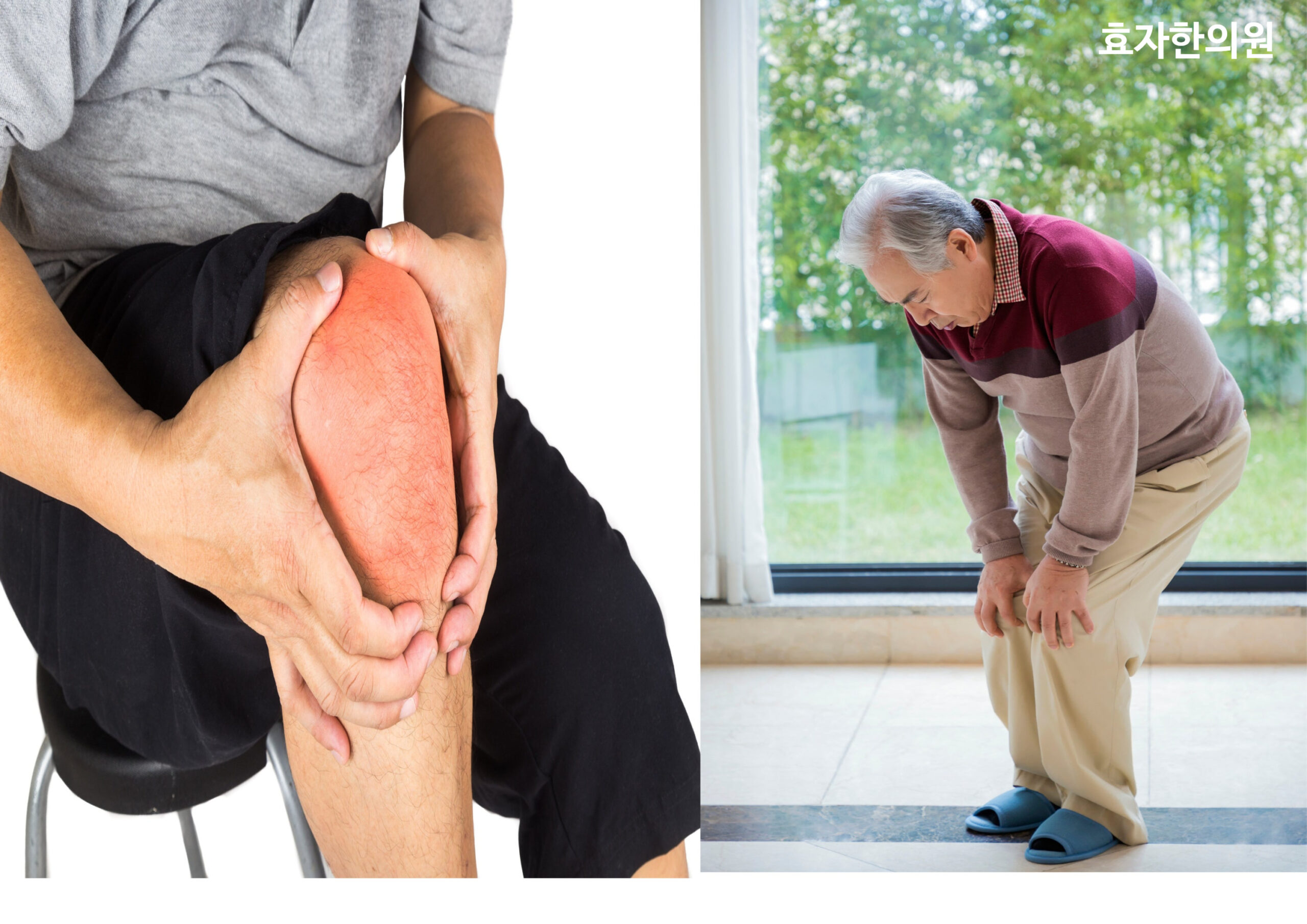 SE-7d04f3a0-c9d6-494f-aa78-09ca5c63c7e2-scaled